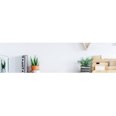 AOC 24B2XDAM 24 1920 x 1080 (Full HD) DVI VGA (HD-15) HDMI 75Hz